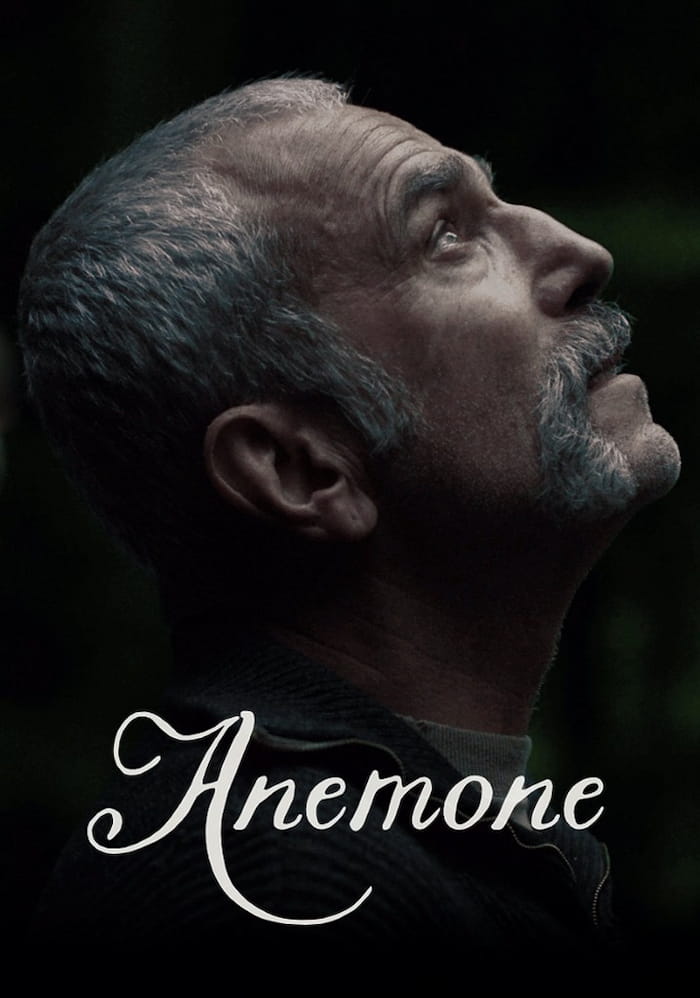 anemone-2025